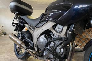 Yamaha TDM 900 - 2002