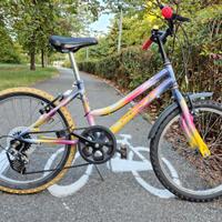 bicicletta colorata per bimbo