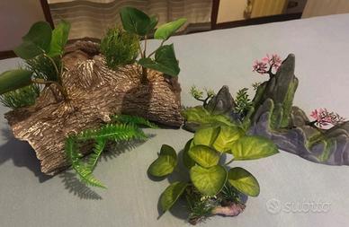Decorazioni acquario