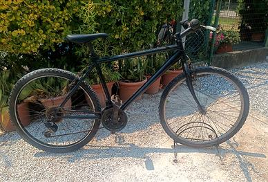 Mountain Bike Uomo