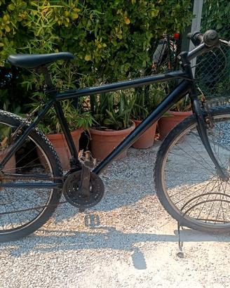 Mountain Bike Uomo