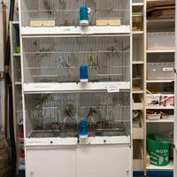gabbia per uccelli