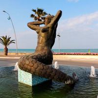 Appart.vicinissimi al mare a TORTORETO LIDO