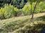 Immagine 13