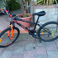 Bicicletta da ragazzi