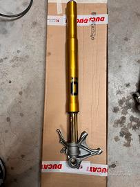 Forcella holins streetv4s/panigaleV4s