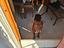 Immagine 2