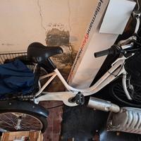bicicletta triciclo adulti
