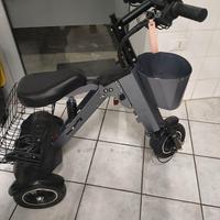 Triciclo Elettrico Portatile da Viaggio 10 Pollici