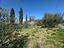 Immagine 19