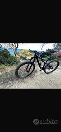 Specialized epic evo s