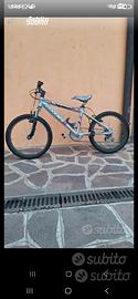 bicicletta
