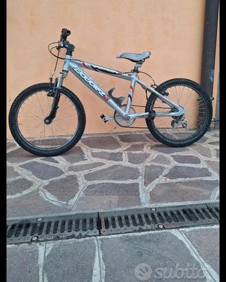 bicicletta