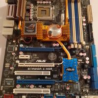 Scheda madre per gaming ASUS STRIKER II NSE