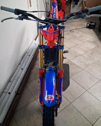 beta evo 2024