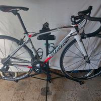 Willer triestina gtr corsa