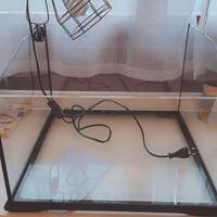 Terrario per tartarughe