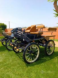 carrozza marathon 