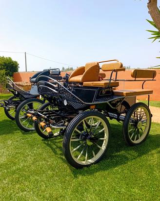 carrozza marathon 