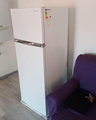 frigo