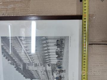 quadro stampe in cornice stile gouache napoli