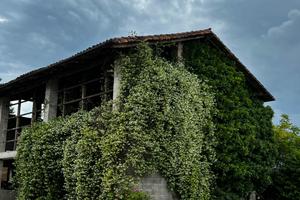 Casa indipendente nella natura