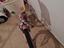 Immagine 4