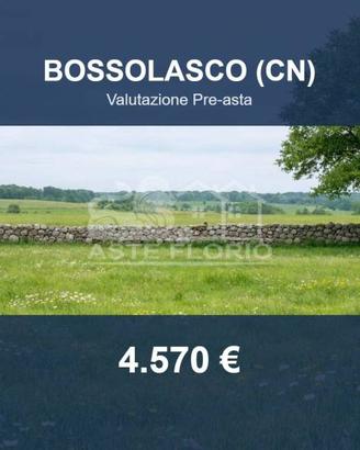 Immobile in asta di 300 m² a Bossolasco