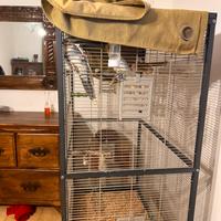 Voliera gabbia grande per pappagalli / calopsitte