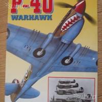 P-40 Warhawk. DELTA EDITRICE