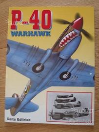 P-40 Warhawk. DELTA EDITRICE