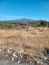 terreno agricolo 