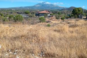 terreno agricolo 