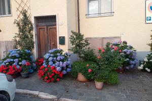 Immobile ristrutturato con cantina
