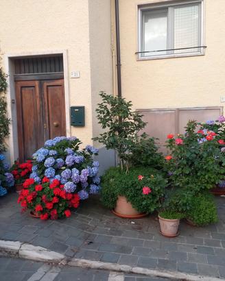 Immobile ristrutturato con cantina