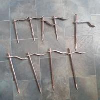 9 fermastadie sergenti