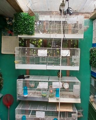 gabie da cova 120 e da 90 * 30 