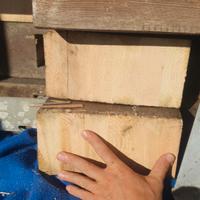 travi in legno 