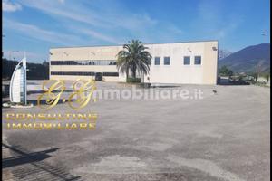 Capannone industriale 14000 mq uscita Capua