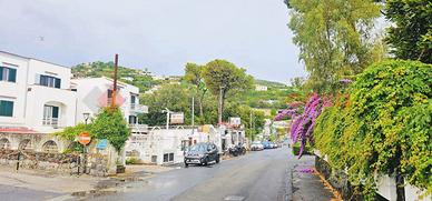 Appartamento Ischia [Cod. rif 3327663VRG]