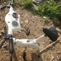 Ciclette Unica pieghevole