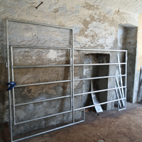 Fence e box per cavalli