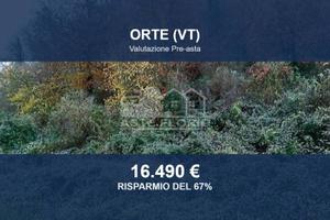 Immobile in asta di 70800 m² a Orte