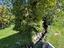Immagine 26