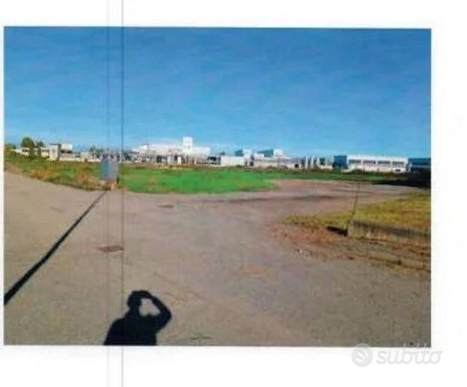 Immobile in asta di 2610 m² a Tricerro - Vista 2
