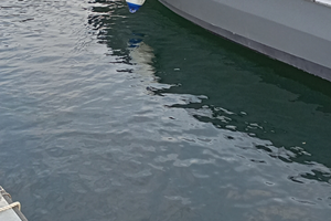 Barca in vetroresina