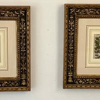 Coppia di stampe a tema botanico con cornici