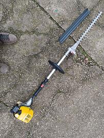 tosasiepe x decespugliatore