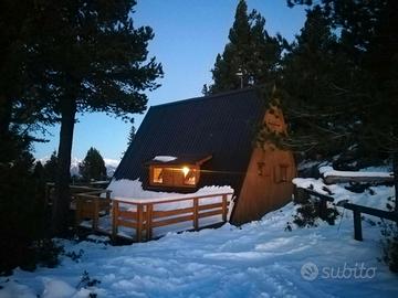 Chalet all'Alpe Cermis, Dolomiti