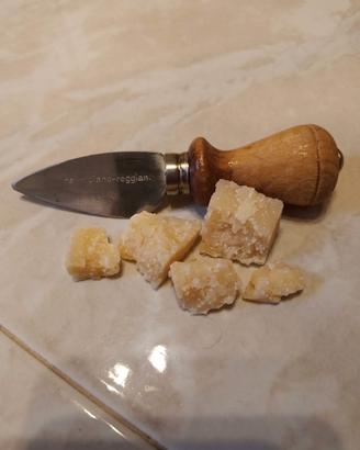coltello scagliatore per formaggio parmigiano 
